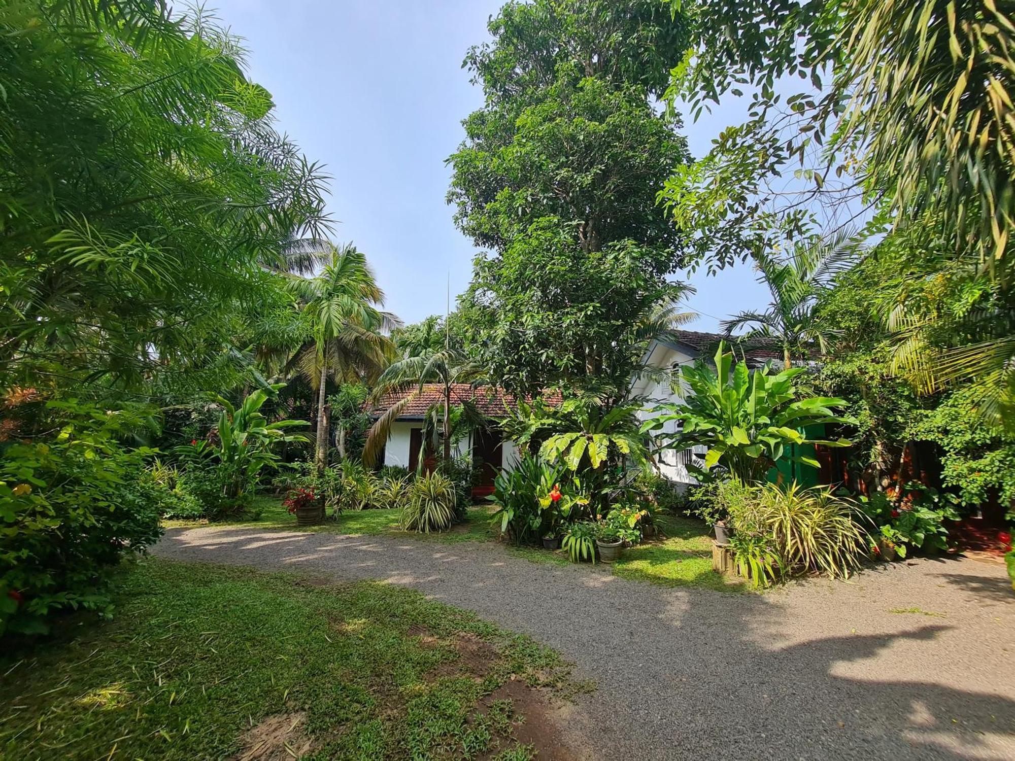 Hill Side Kings Villa Hikkaduwa Buitenkant foto