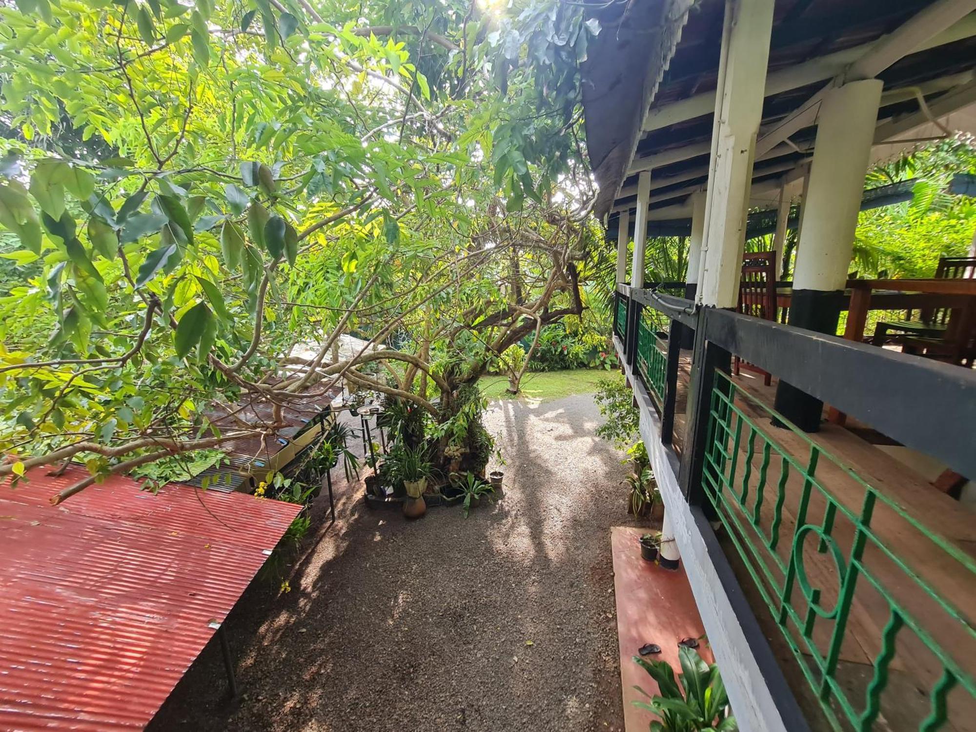 Hill Side Kings Villa Hikkaduwa Buitenkant foto