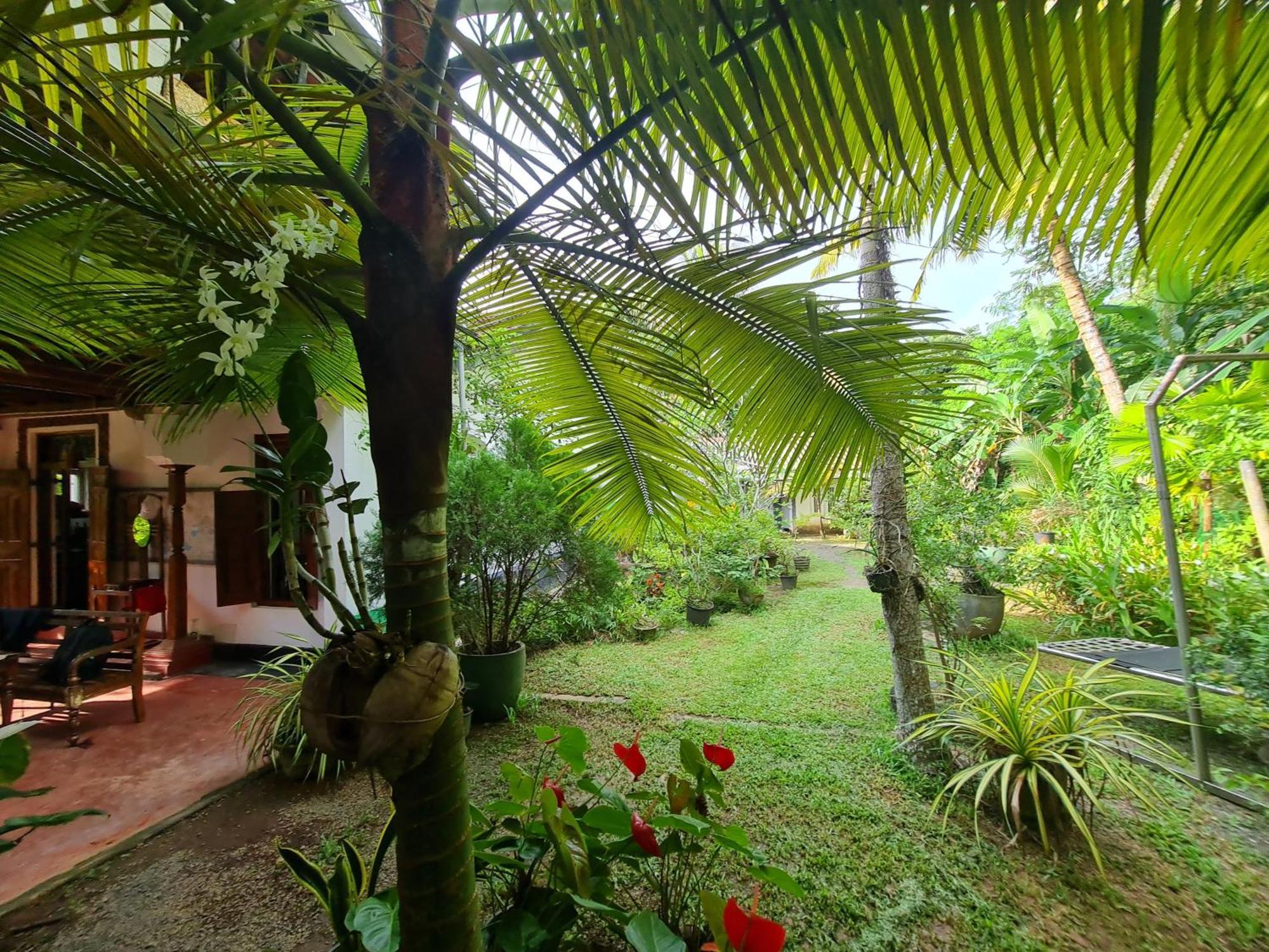 Hill Side Kings Villa Hikkaduwa Buitenkant foto