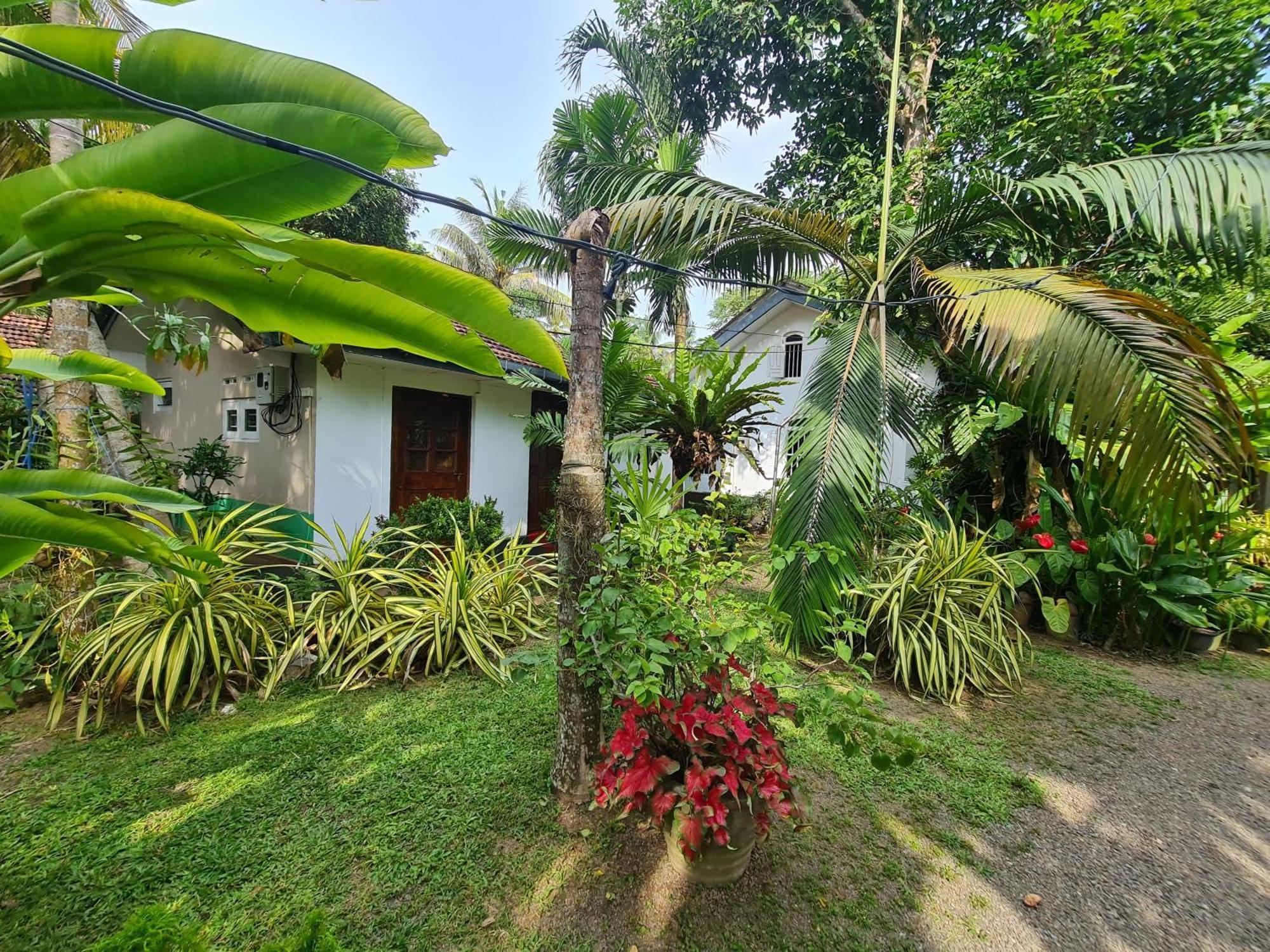 Hill Side Kings Villa Hikkaduwa Buitenkant foto