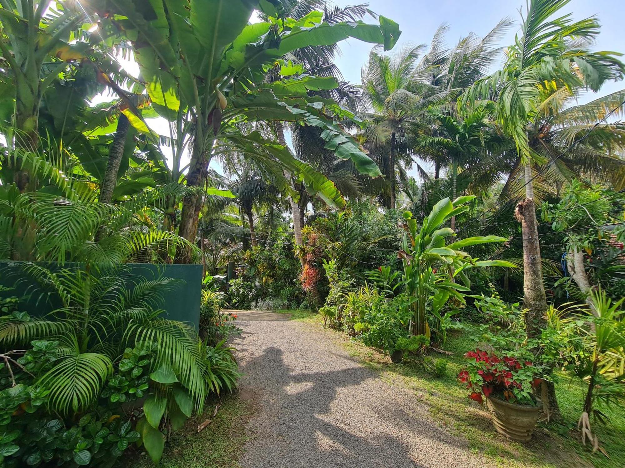 Hill Side Kings Villa Hikkaduwa Buitenkant foto